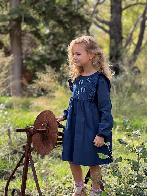 Sarah Dress Jean Hearts