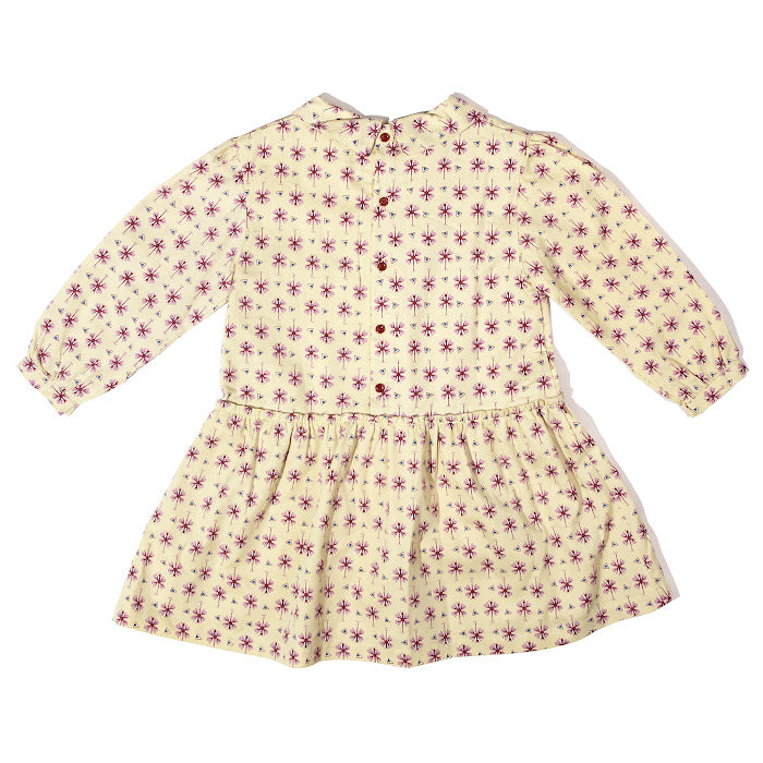 Zoe Dragonfly Pistachio