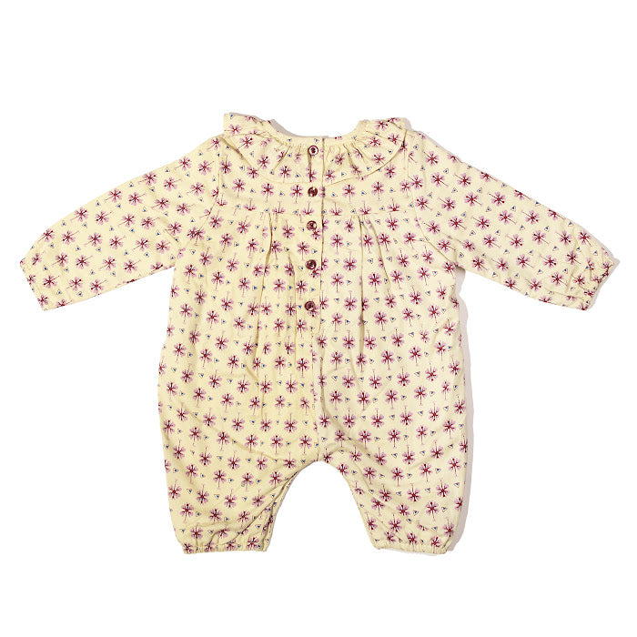 Kallia Dragonfly Pistacio