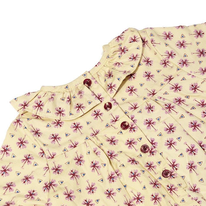 Kallia Dragonfly Pistacio