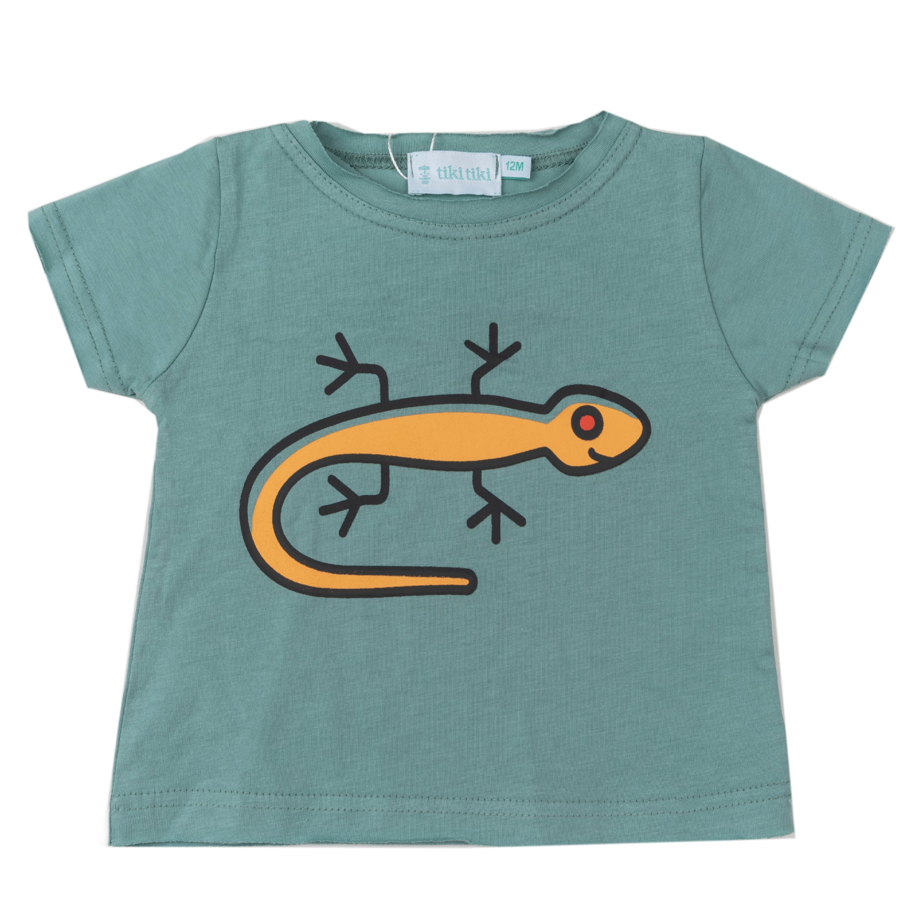 Sun Lizard