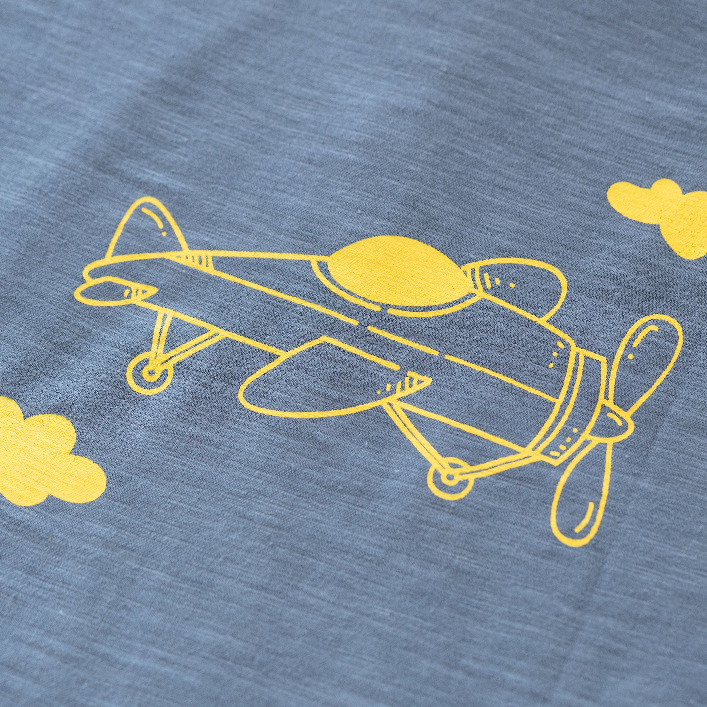 Chris Fly Away
