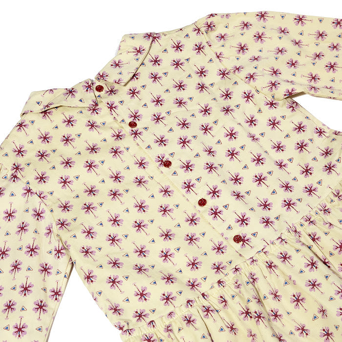 Zoe Dragonfly Pistachio